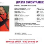 Copia de Diseño sin título 11