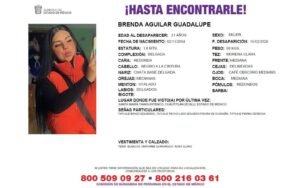 Copia de Diseño sin título 11