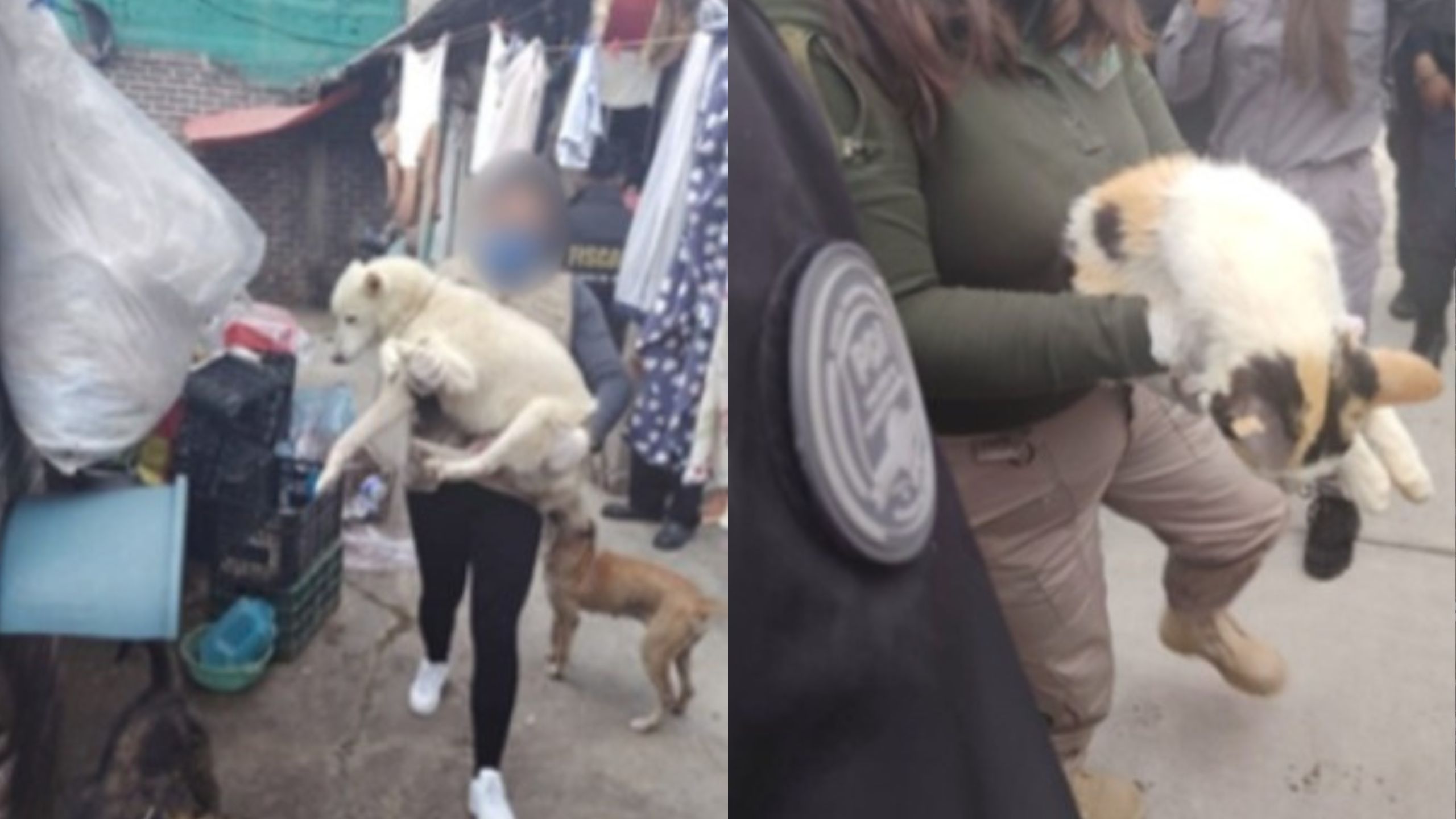 Maltrato animal en Ecatepec