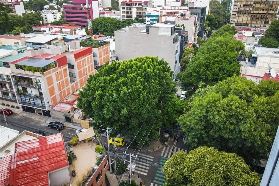 Vecinos salvan a Laureano