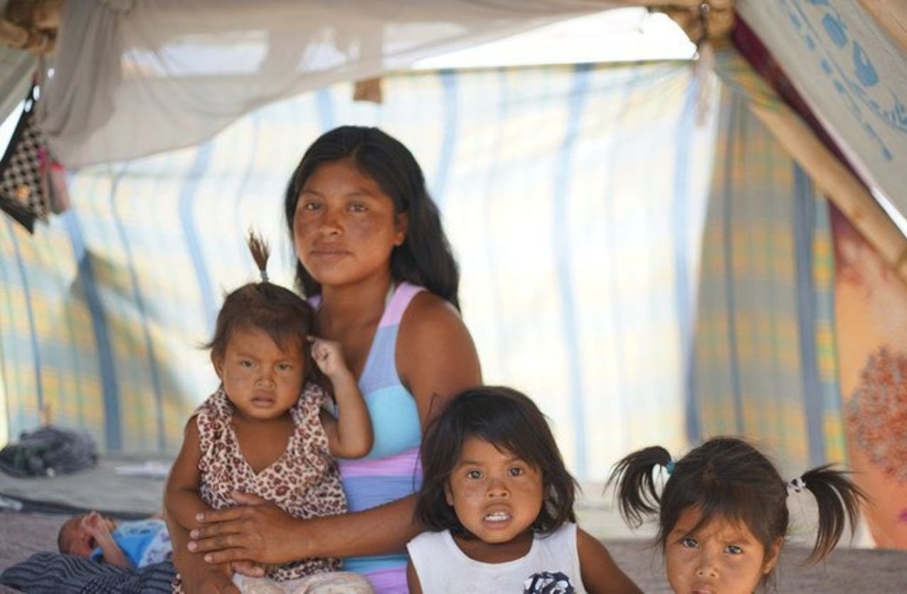 ONU advierte que pueblos indígenas en Venezuela enfrentan violencias